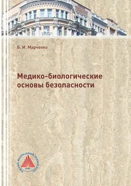 Борис Марченко Медико-биологические основы безопасности обложка книги