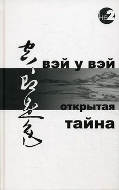 Вэй Вэй Открытая тайна обложка книги