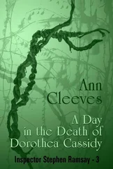 Ann Cleeves - A Day in the Death of Dorothea Cassidy