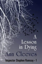 Ann Cleeves - A Lesson in Dying