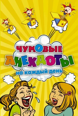 С. Ульшин Чумовые анекдоты на каждый день обложка книги