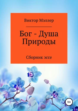 ВИКТОР МЭЛЛЕР Бог – Душа Природы обложка книги