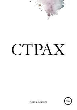 Алина Магнет Страх обложка книги