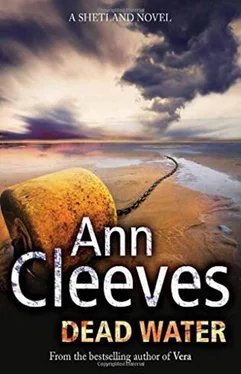 Ann Cleeves Dead Water обложка книги