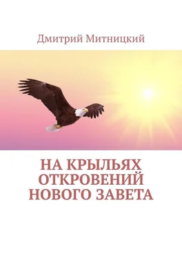 Дмитрий Митницкий На крыльях откровений Нового Завета обложка книги