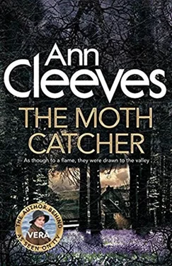 Ann Cleeves The Moth Catcher обложка книги