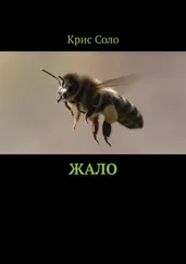 Крис Соло - Жало