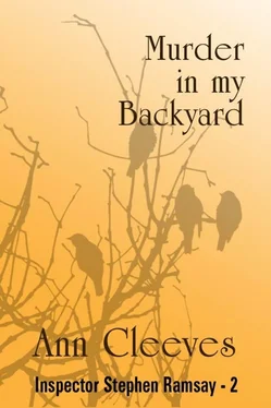 Ann Cleeves Murder in My Backyard обложка книги