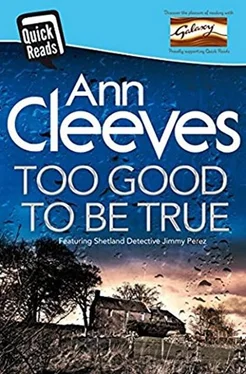 Ann Cleeves Too Good to Be True обложка книги