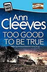 Ann Cleeves - Too Good to Be True