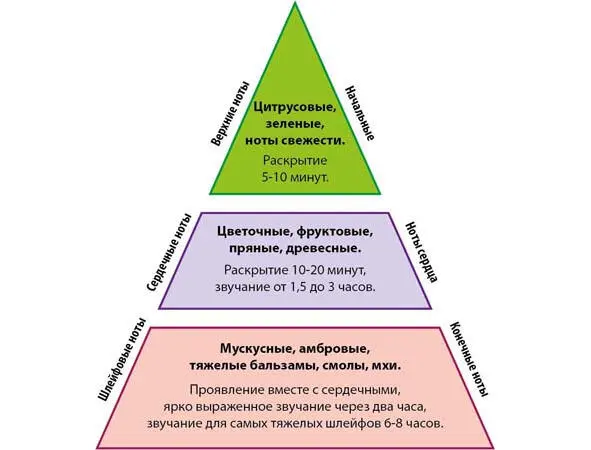 Свежие ноты бывают Фужерные папоротник лаванда бергамот кумарин - фото 3