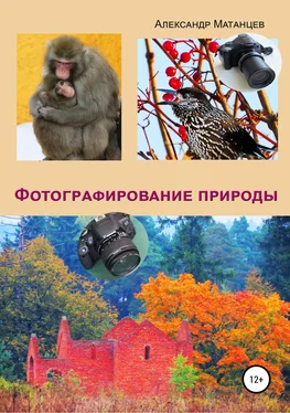 Александр Матанцев Фотографирование природы обложка книги