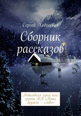 Сергей Ходосевич Сборник рассказов. Новогодняя серия книг группы ВК «Наше оружие – слово» обложка книги