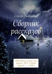 Сергей Ходосевич - Сборник рассказов. Новогодняя серия книг группы ВК «Наше оружие – слово»