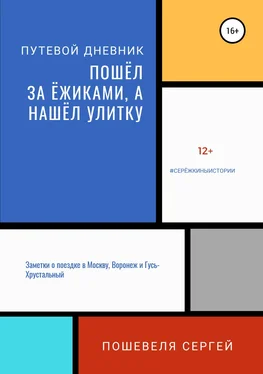 Сергей Пошевеля Пошёл за ёжиками, а нашёл улитку обложка книги