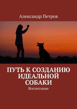 Александр Петров Путь к созданию идеальной собаки. Воспитание