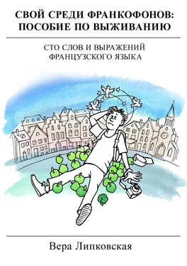 Вера Липковская Свой среди франкофонов: пособие по выживанию обложка книги