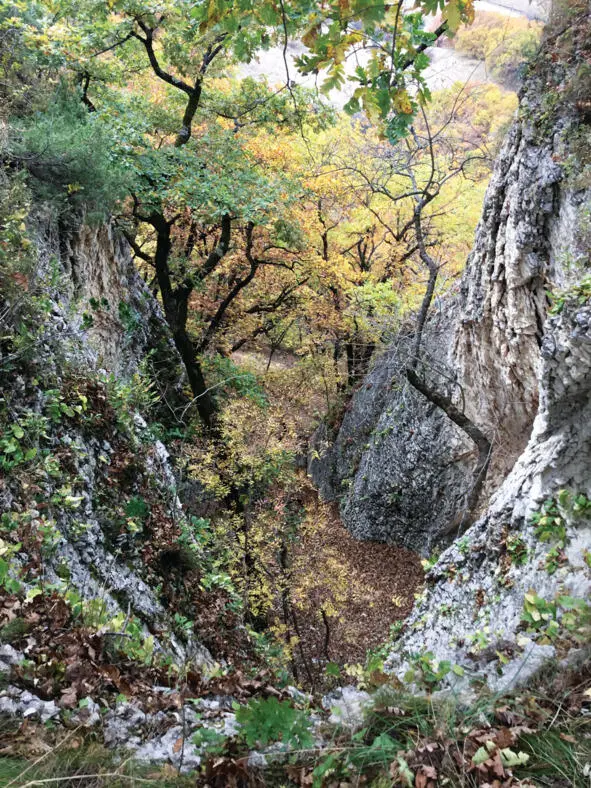 Ущелье в окрестностях станицы Каладжинской Глава I История станицы - фото 2