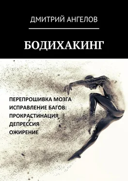 Дмитрий Ангелов Бодихакинг обложка книги