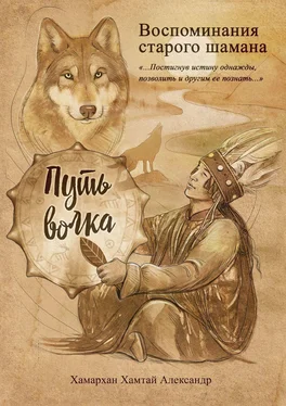 Хамархан Хамтай Александр Воспоминания старого шамана. Путь волка обложка книги