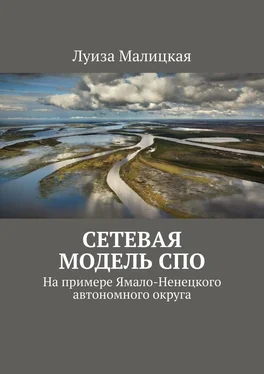 Луиза Малицкая Сетевая модель СПО. На примере Ямало-Ненецкого автономного округа обложка книги