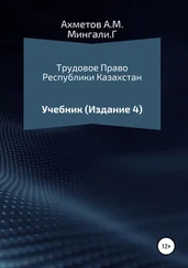 Амир Ахметов - Трудовое право Республики Казахстан. Учебник