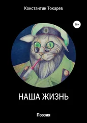 Константин Токарев - Наша жизнь