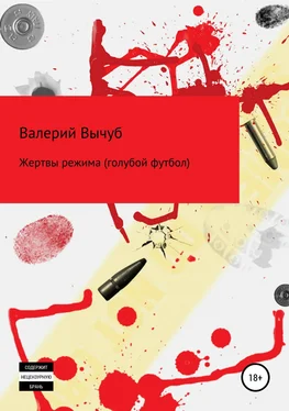 Валерий Вычуб Жертвы режима (голубой футбол) обложка книги