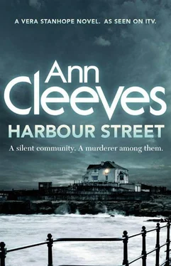 Ann Cleeves Harbour Street обложка книги