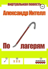 Александр Интелл - По лагерям