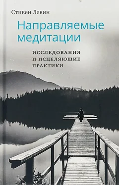 Стивен Левин Направляемые медитации, исследования и исцеляющие практики обложка книги