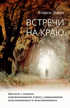 Стивен Левин Встречи на краю. Диалоги с людьми, переживающими утрату, умирающими, исцеляющимися и исцелившимися обложка книги