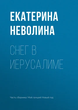 Екатерина Неволина Снег в Иерусалиме обложка книги