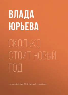 Влада Юрьева Сколько стоит Новый год обложка книги