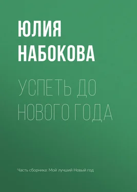 Юлия Набокова Успеть до Нового года обложка книги