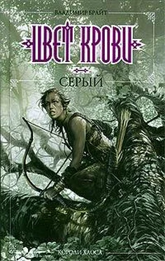 Владимир Брайт Цвет крови - серый обложка книги