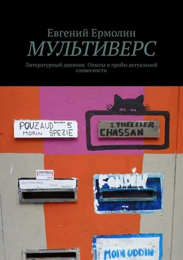 Евгений Ермолин Мультиверс. Литературный дневник. Опыты и пробы актуальной словесности обложка книги