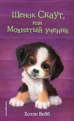 Холли Вебб - Щенок Скаут, или Мохнатый ученик