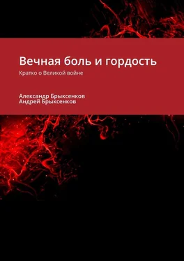 Александр Брыксенков Вечная боль и гордость. Кратко о Великой войне обложка книги