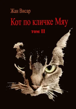 Жан Висар Кот по кличке Мяу. Том II обложка книги