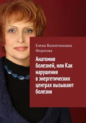 Елена Федосова - Анатомия болезней, или Как нарушения в энергетических центрах вызывают болезни