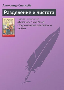 Александр Снегирёв Разделение и чистота обложка книги