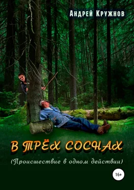 Андрей Кружнов В трёх соснах обложка книги