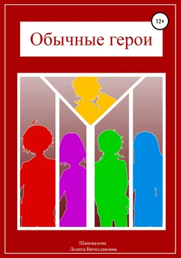 Лолита Шаповалова Обычные герои обложка книги