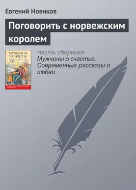 Евгений Новиков Поговорить с норвежским королем обложка книги