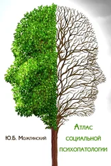 Юрий Можгинский - Атлас социальной психопатологии