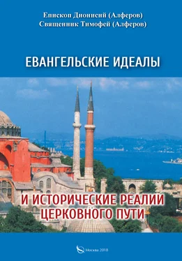 Дионисий Алферов Евангельские идеалы и исторические реалии церковного пути обложка книги