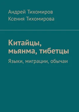 Андрей Тихомиров Китайцы, мьянма, тибетцы. Языки, миграции, обычаи обложка книги