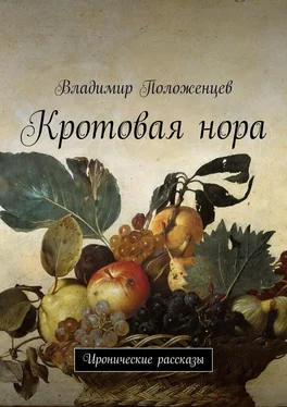 Владимир Положенцев Кротовая нора. Иронические рассказы обложка книги