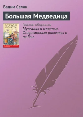 Вадим Селин Большая Медведица обложка книги